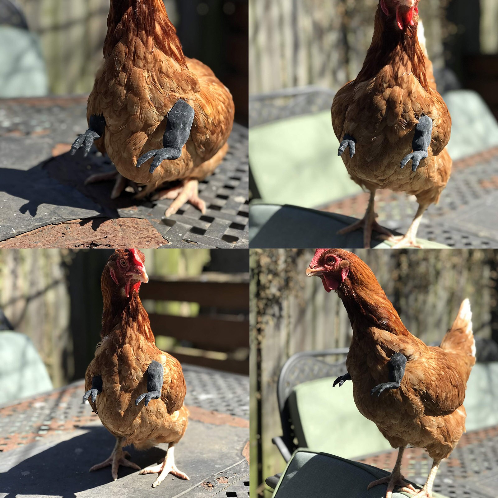 Chicken Arm Toy Gag Chicken Arms Props for Pet Themed Party Farm Animal Supplies