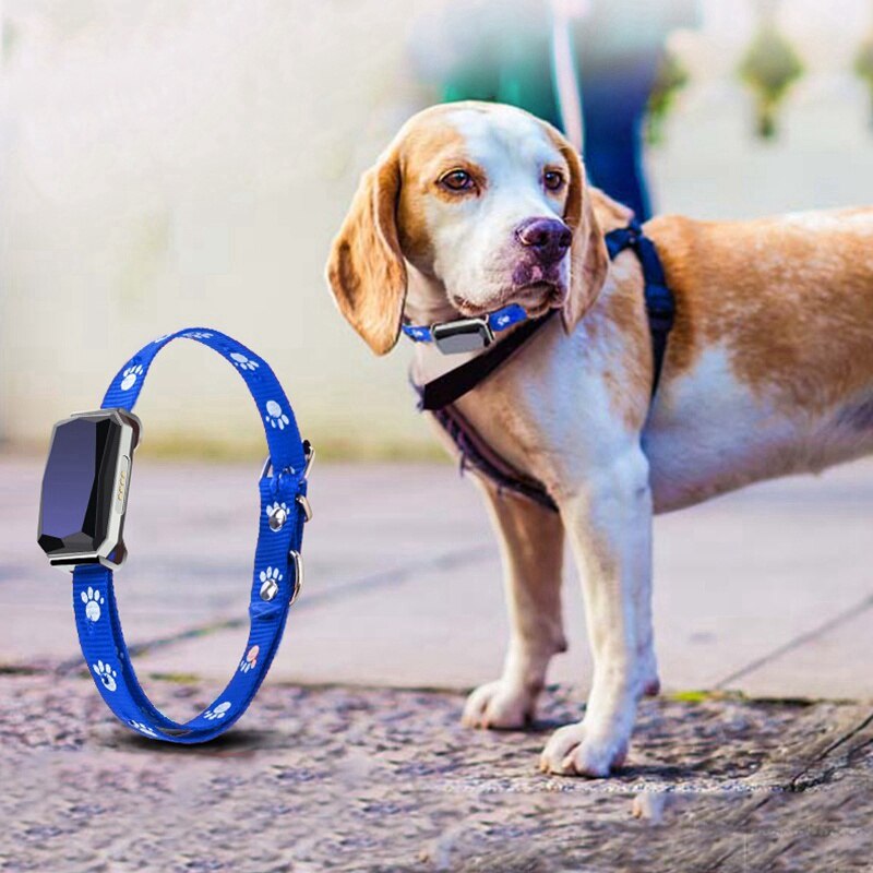 Pet Tracking Collar For Dogs Cats Smart Tracking Real Time Activity Collar Monitor Positioning Device For Pets Of All Sizes