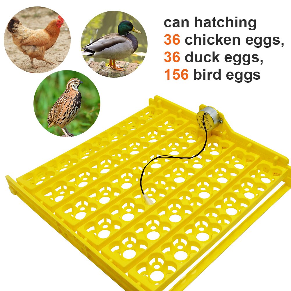 Multifunction Egg Tray Eggs Incubator Turn Tray Poultry Incubation Equipment Mini Brooder Incubator Spare Parts Accessory