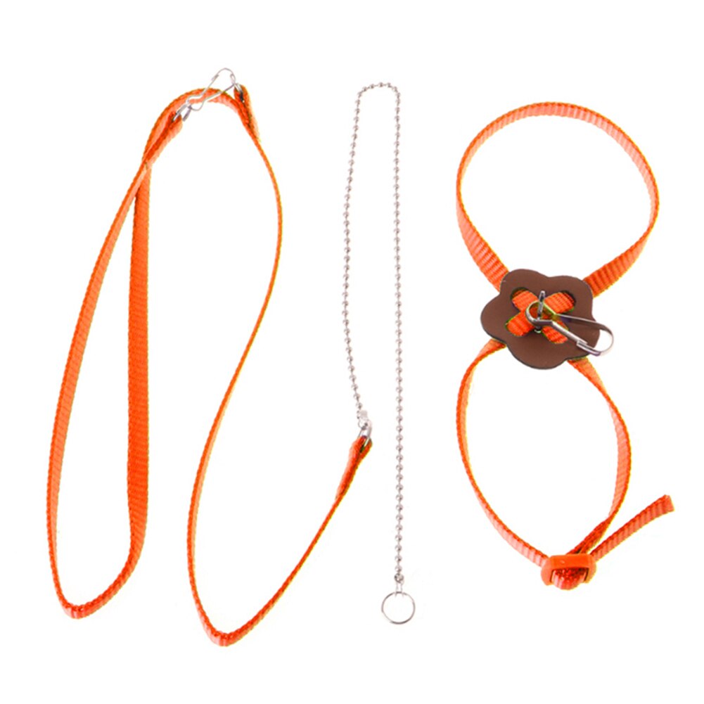 Arnés para exteriores para loros, correa ajustable, cuerda de entrenamiento, banda antimordida para pájaros y mascotas,: Naranja