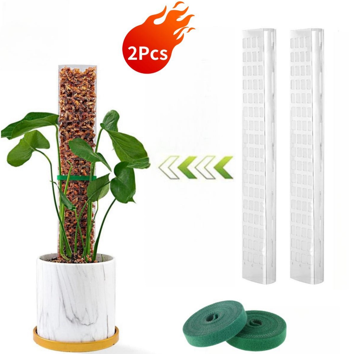 Plastic Transparent Reusable Indoor Moss Poles Plants Plant Support Potted Sticks Train Creeper Plant to Grow Upward For Garden: M / Beige