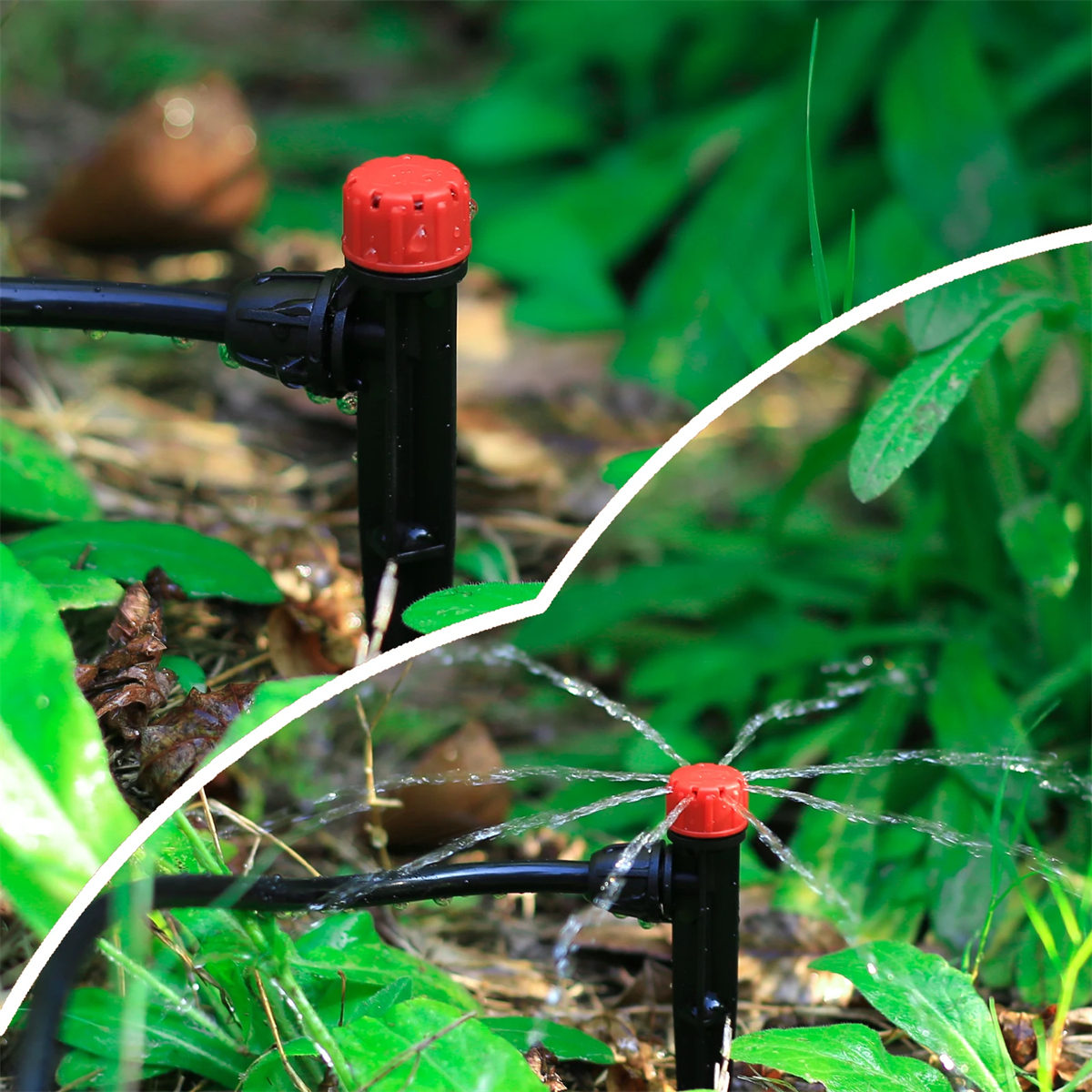Dispositif de micro-pulvérisation d'irrigation de jardin, gouttes rouges réglables branchées au sol, flèche goutte à goutte à cercle complet, résistant à 360, 8 trous, 10 pièces, 100 pièces