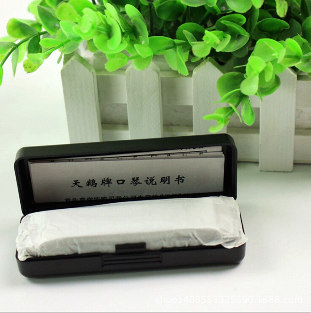 Key of C Blues Harmonica, 10 Hole Diatonic Harmonica, Children's ,