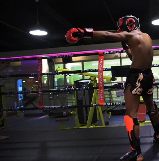 Mma muay thailandske tvillinger boksning hovedbeklædning mentraining sparring i mma tkd fitnessudstyr grant bokse hjelm hovedbeskytter