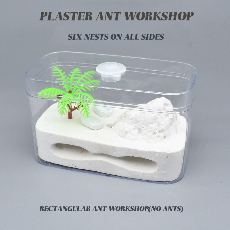 Ant House Ant Home Castle Eco Box Ant Nest Factory Cultivate Children's Interests Queen Ant Box Ant Workshop Pet Supplies