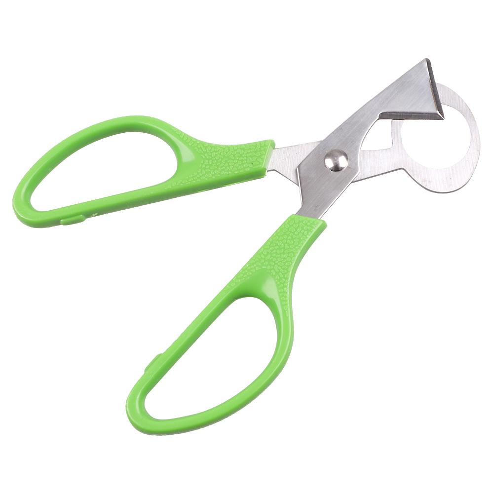 1PC Quail Eggs Scissor Eggshell Cutter Stainless Steel Scissor for Quail Egg Pigeon Bird Opener Kitchen Tool Clipper Cut Opener