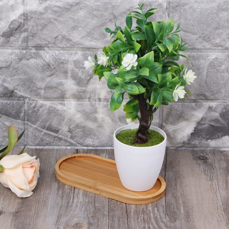 Plateau à plantes en bois de bambou de forme ovale, soucoupe plateau à plantes, Mini plante fleur faveur succulente support de Pot, plateau à Cactus Simple, décor de maison et de bureau
