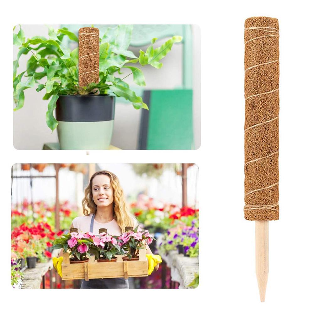 Plante klatring coir totempæl sikker havearbejde kokosnød palmestok til klatring planter vinstokke og creepers plante klatring søjle