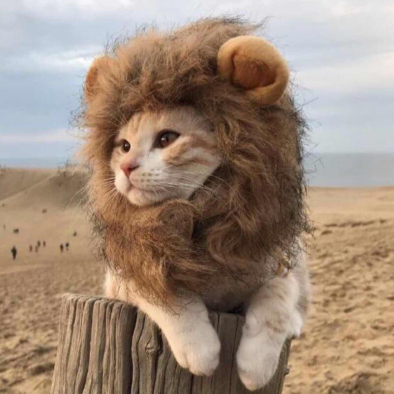Disfraz divertido de gato, melena de León, peluca de pelo de León para mascotas, bufanda para perros y gatos, de Halloween y Navidad, para gato