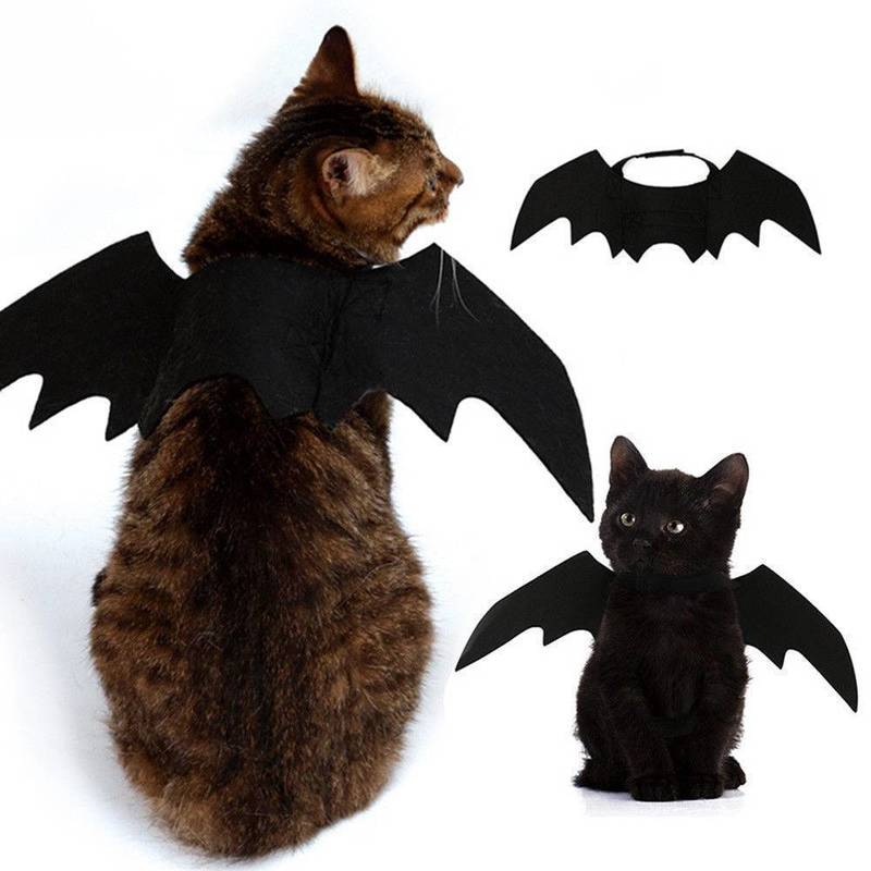 Halloween Haustier Schläger Flügel katze kostüm Haustiere kostüm tragen Halloween-Schild