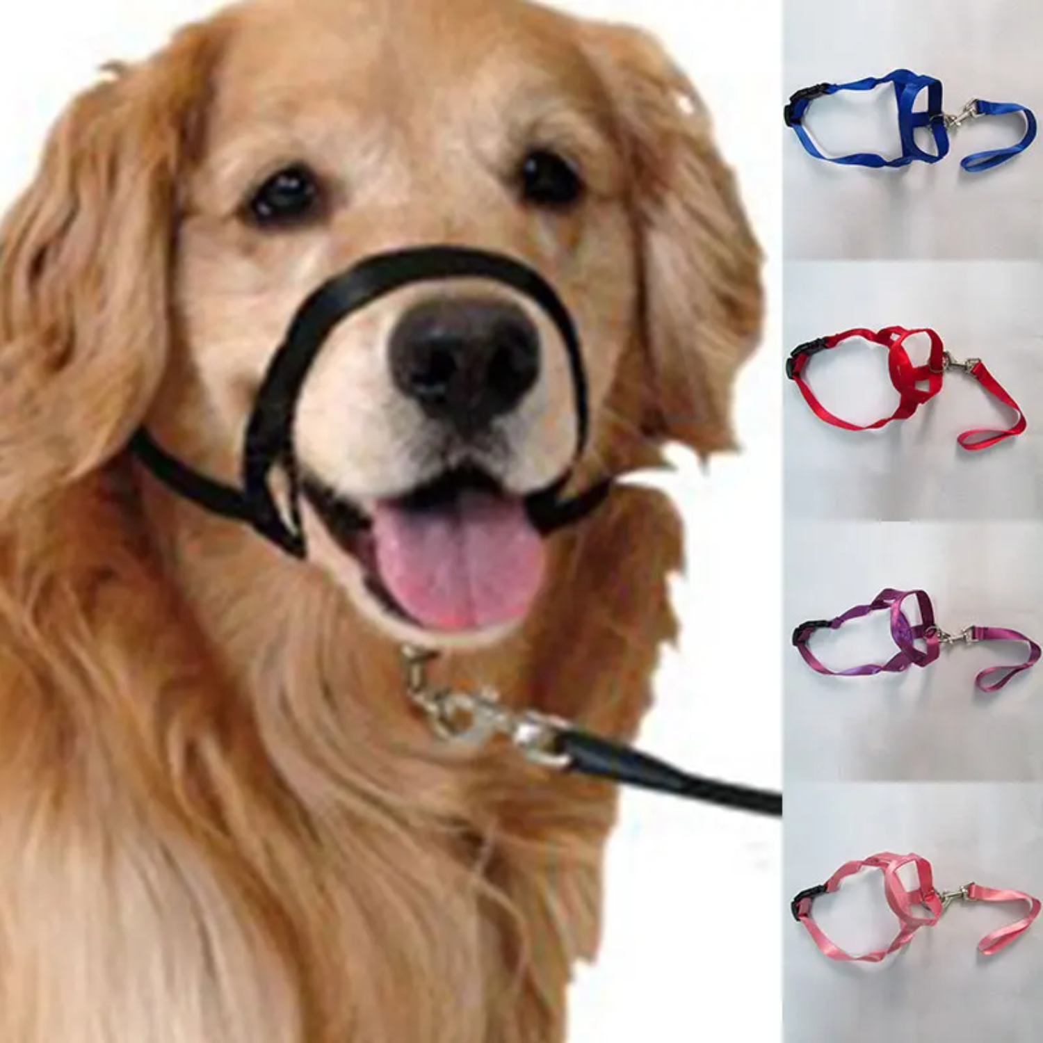 Correas ajustables sólidas para morder, cinturón líder, correa de entrenamiento, Collar líder, Collar para perro, bozal, Halter para perro, arnés suave