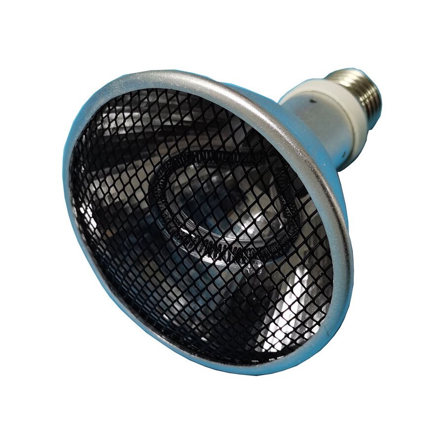 Lampe chauffante IRA et IRB pour reptiles, amphibiens, oiseaux, élevage de volaille et autres animaux