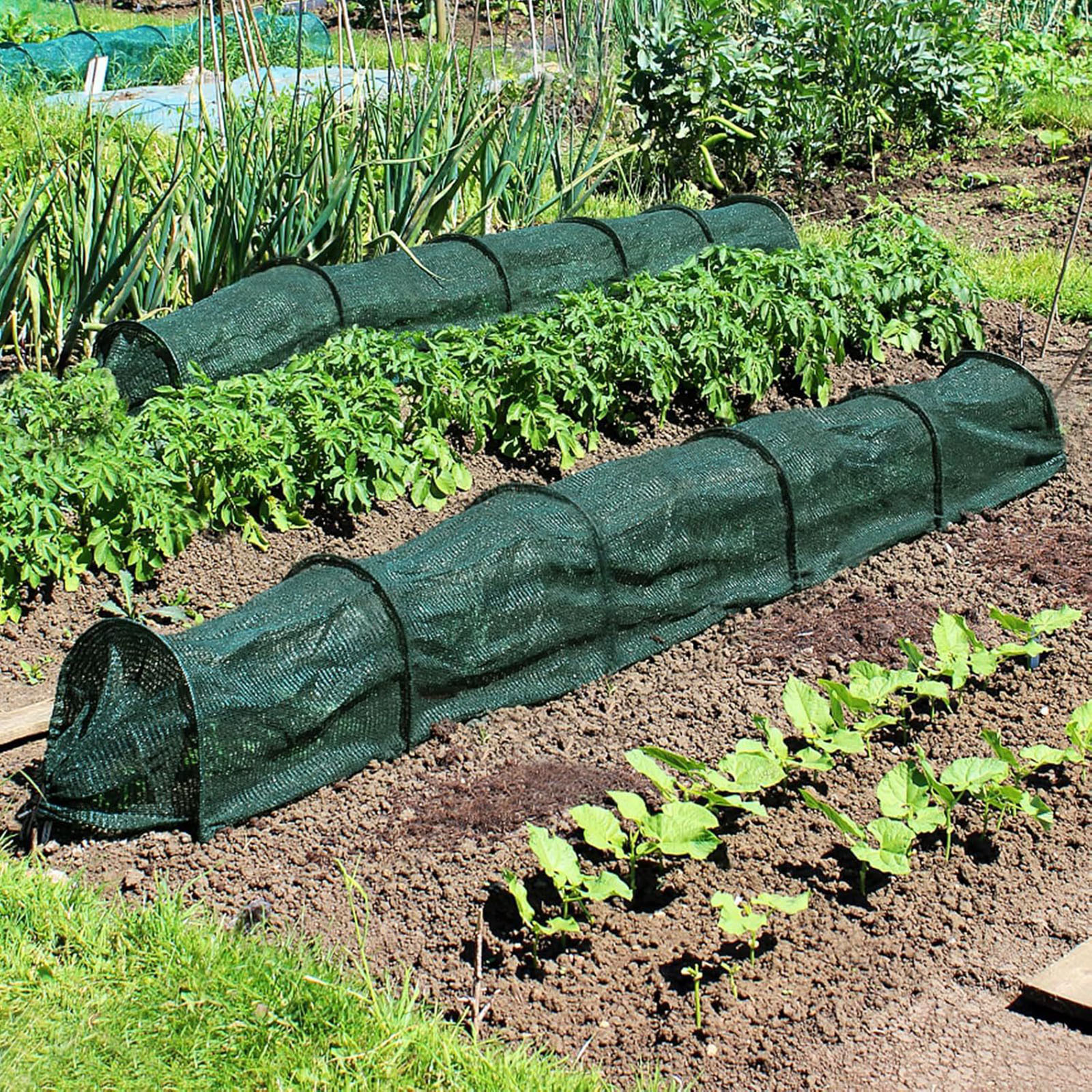 Filet d'ombrage tunnel pour serre, cerceaux Everche portables, jardin extérieur, cour, plante végétale de ferme, 3m