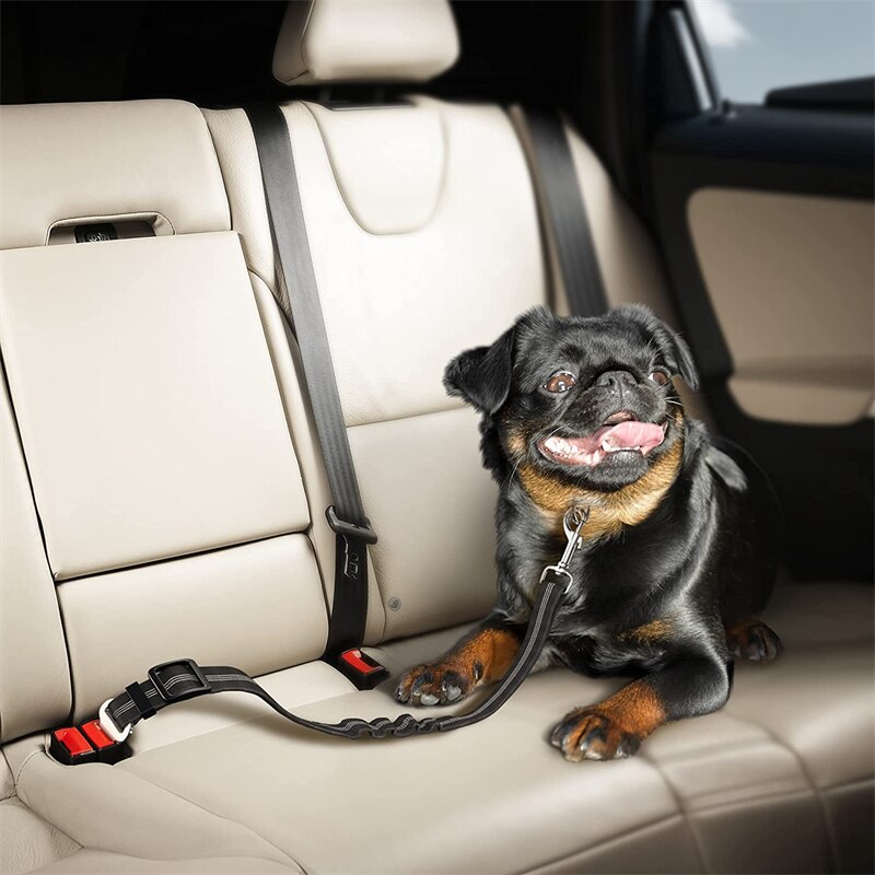 Dog Seat Belt Auto Harnas Voor Honden Verstelbare Duurzaam Nylon Reflecterende Bungee Stof Tether Auto Reizen Accessoires Voor Honden