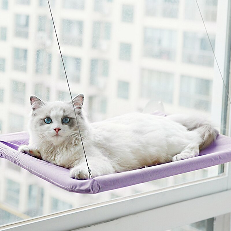 Gato hamaca cama montaje ventana cómodo mono de invierno cálido hamaca para gatitos mascotas pequeñas balda para cama asiento camas de 20kg: Purple