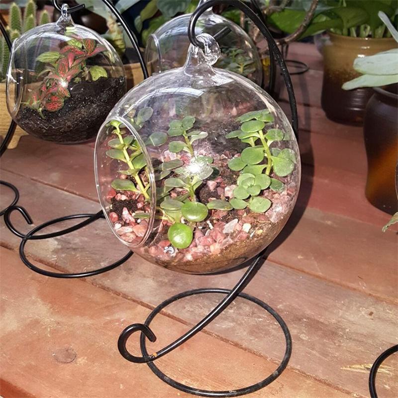 Klart glas kugle vase mikro landskab luft plante terrarium saftige hængende blomsterpotte beholder: Jernramme