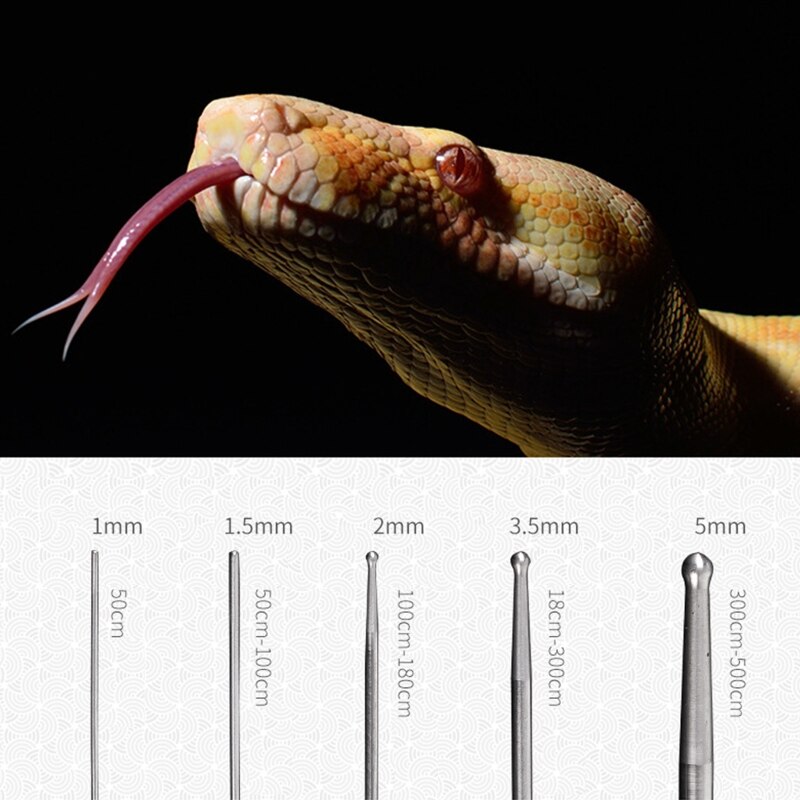 6 stk slange kønsdetektor sonde krybdyr kønsdetektion legetøj til python grøn bambus slange kravlende padder forsyninger