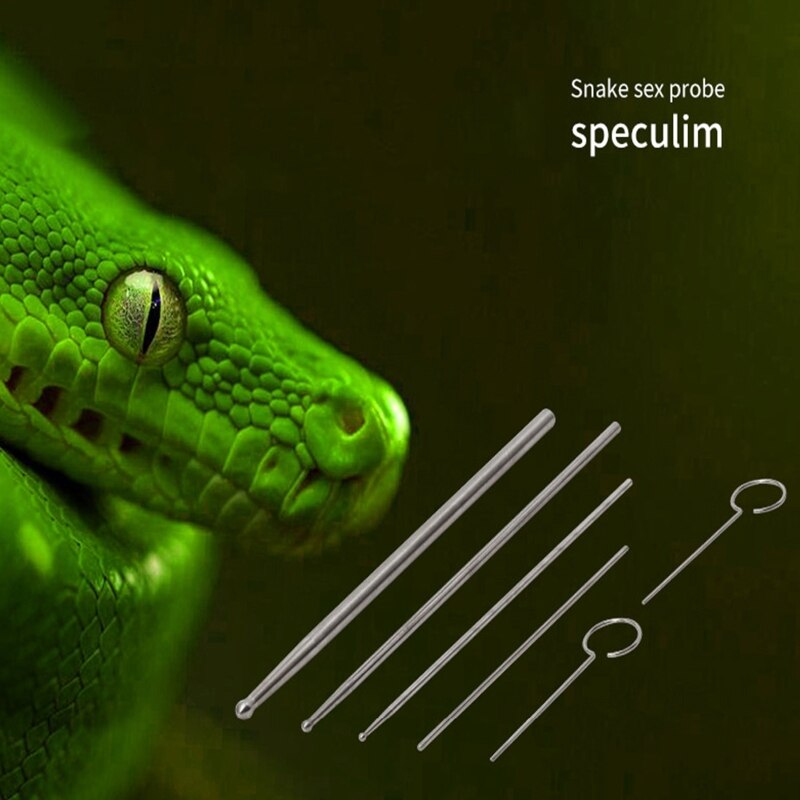6 pièces serpent genre détecteur sonde Reptile sexe détection jouet R9JC