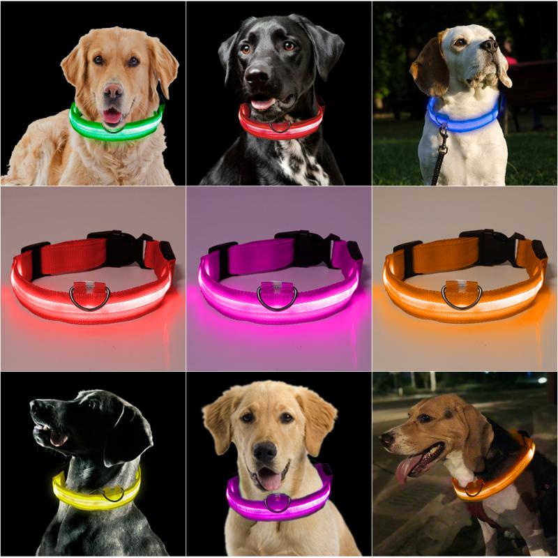 Collier lumineux clignotant LED pour chien, accessoire de sécurité pour la marche en plein air, pour éviter les accidents de voiture