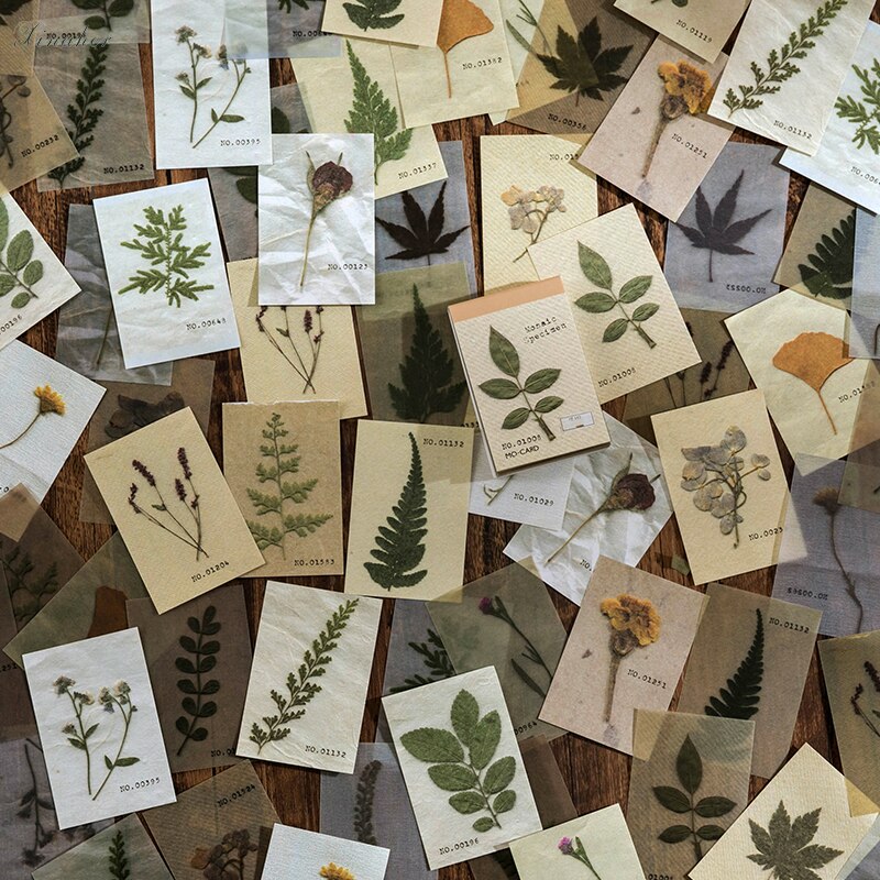 80 stk soppblomstblad mini boksider materiale papir søppel journalplanlegger scrapbooking årgang dekorativt diy håndverk papir
