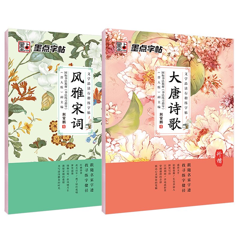 Chinese Schrijven 2 Boeken Literaire Lezen Voor Running Script Kalligrafie Schrift Te Praktijk Modian