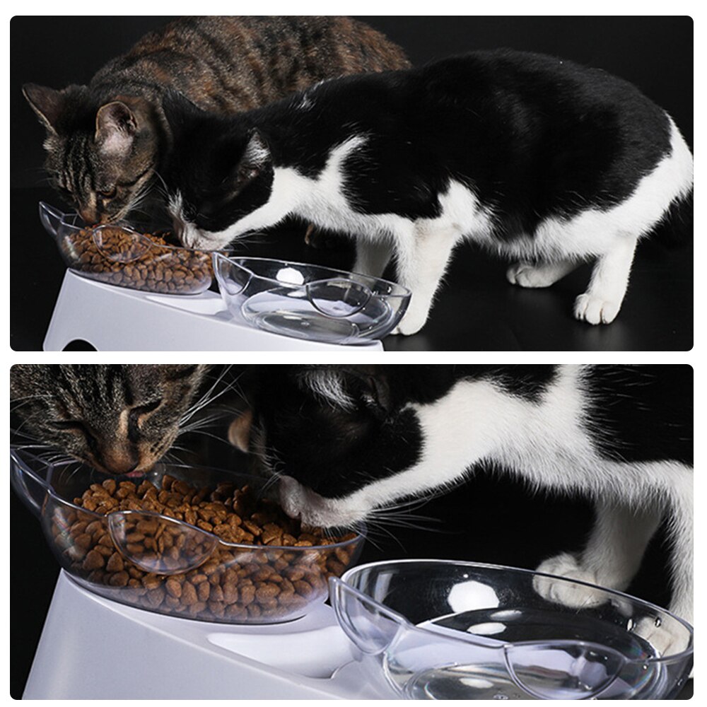 Katze Schüssel Zubringer Katzenfutter Schüssel Mit Erhöhte Halterung Für Schnelle Transport Von Katzenfutter Schüssel Wasser Schüssel