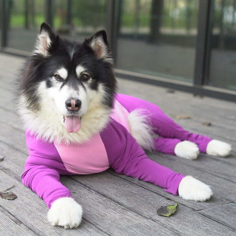 Large Dog Clothing Jumpsuit Pajama Big Dog Outfit Border Collie Samoyed Husky Labrador Golden Retriever Alaskan Malamute Clothes