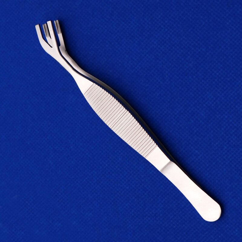 Notched Forceps Cartilage tweezers double stainless steel 12.5cm s... – Grandado