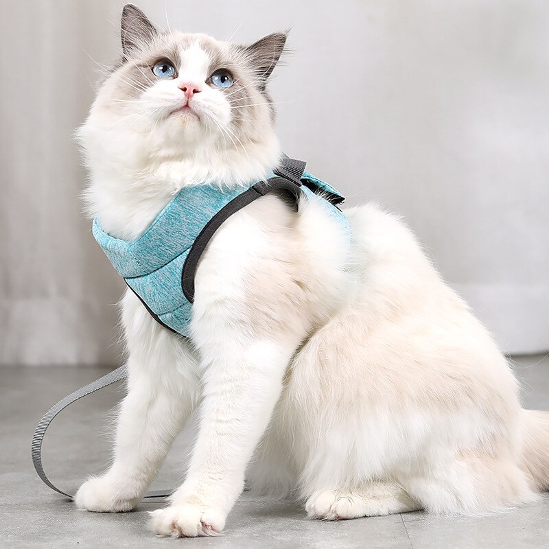 Cat Harness Leash Adjustable Safety Belt Vest Breathable Comfortable Cat Walking Lead Leash Kitten Small Dogs Pet Accessories: Green / S