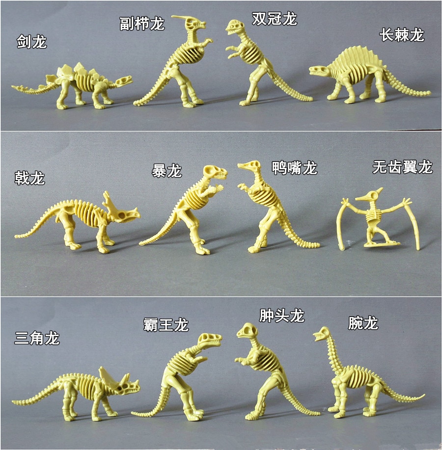 12 stks set Archeology dinosaurusfossiel dier botten speelgoed model skelet gemonteerd model S maat