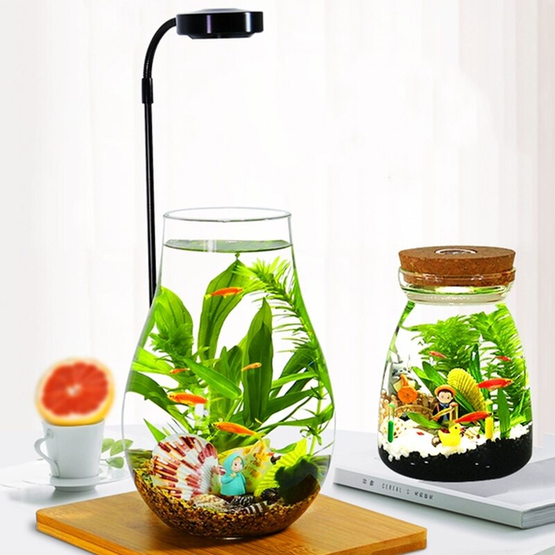 Aquarium Small Fish Tank Micro-view Viewing Aquarium Landscaping Fighting Fish Tank Glass Ecological Bottle Aquarium Accessories