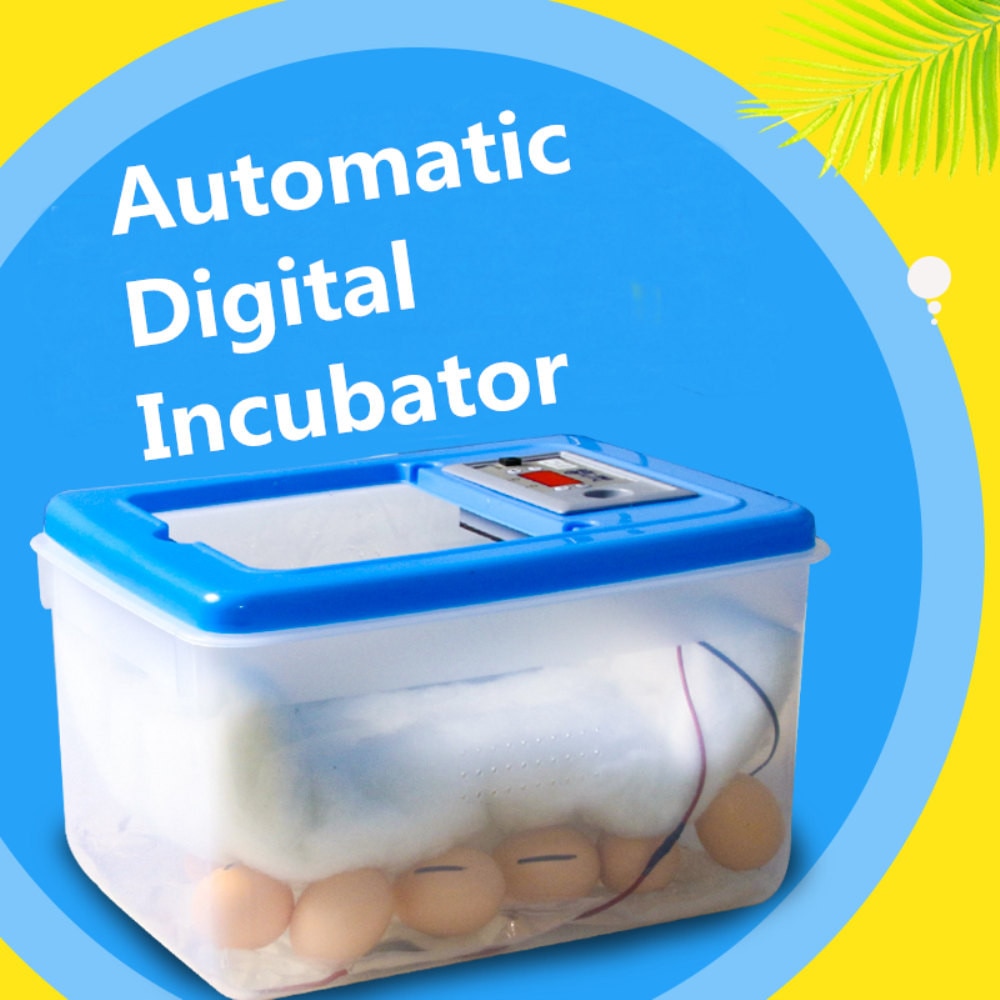 30-64 eieren 12 V/220 V Elektronische Digitale Incubator Hatcher Automatische Incubatie Kip Eend En Gans Incubator