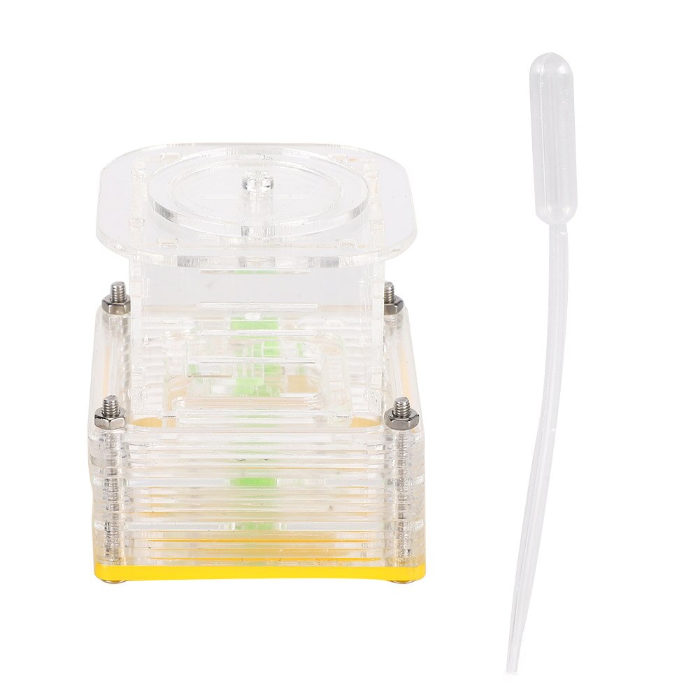 Ants Farm Insects Box Acrylic Ant Feeding Nest Transparent Insect House Case Ant Farm Ant Formicarium Reptiles