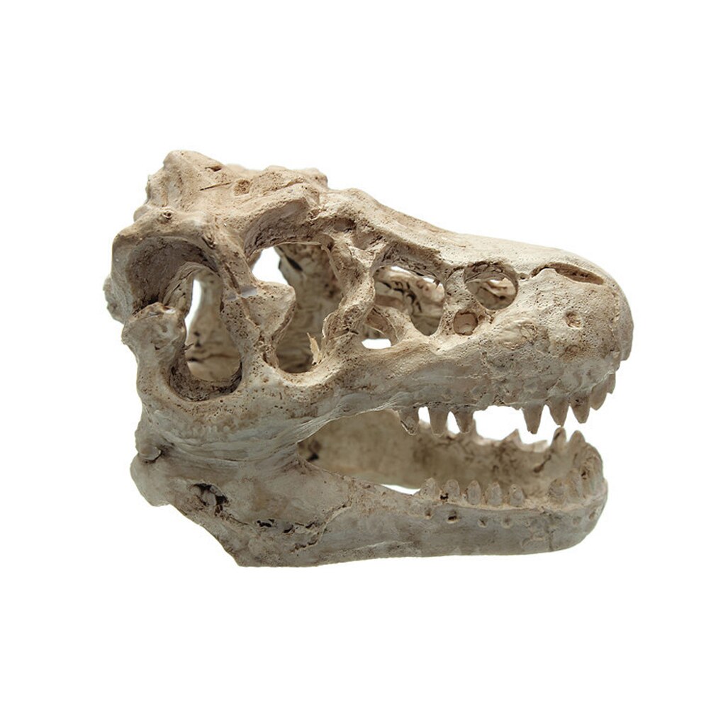 Acuario de resina de dragón, decoración de terrario, Cráneo de cocodrilo para pecera, adorno de resina para decorar tu acuario, 1 ud.