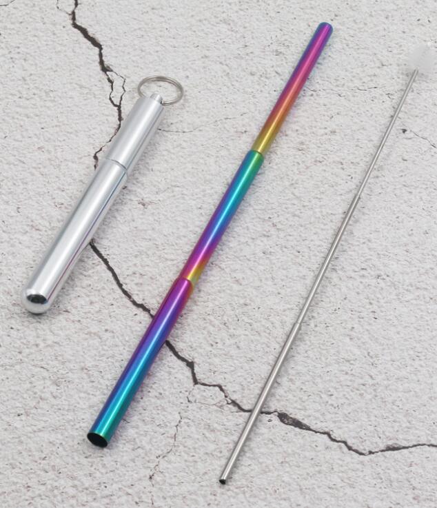 Metal Reusable Collapsible Foldable Straw with Case Keychain Stainless Steel Metallic Portable Telescopic Drinking Straw: Silver