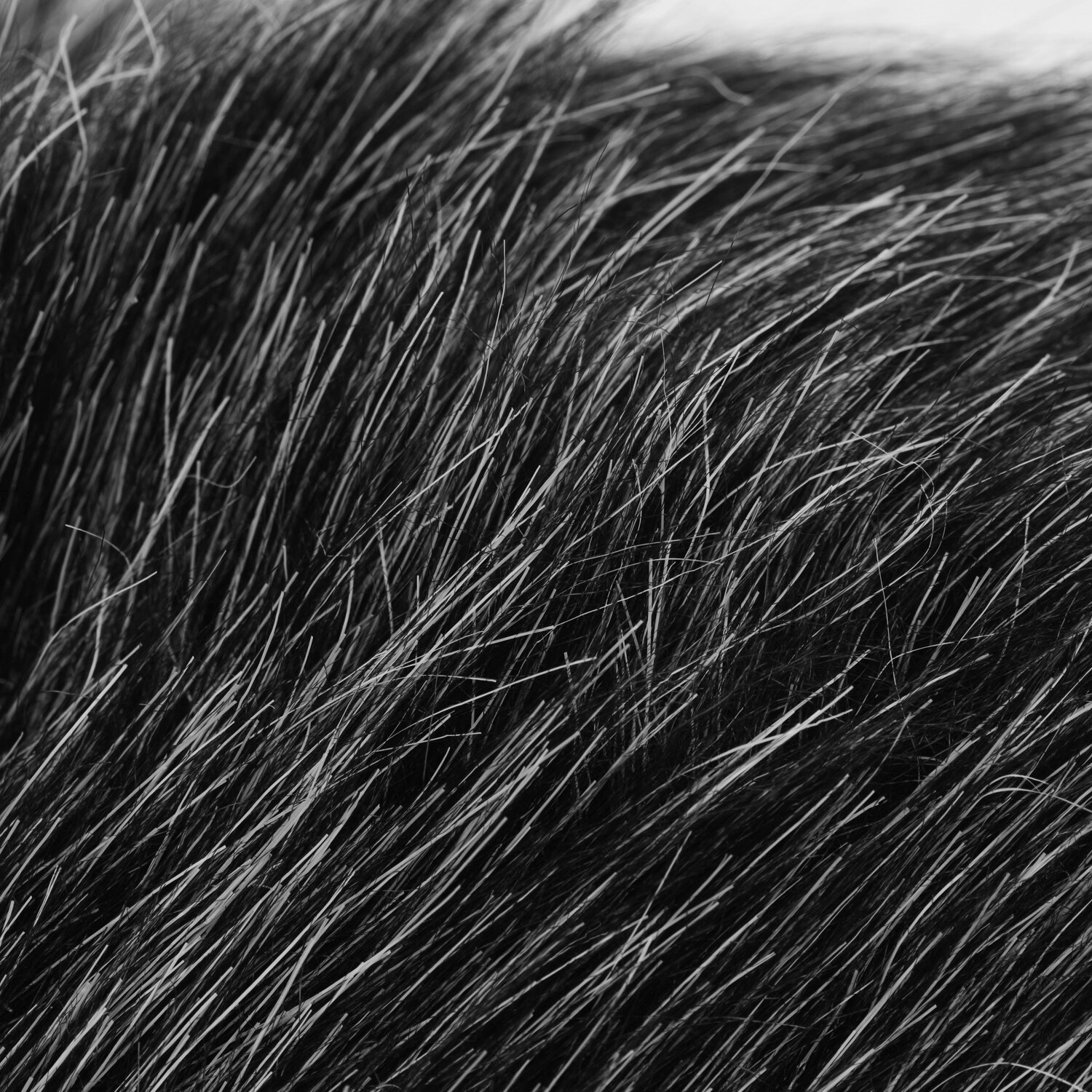 On-camera Microphone Furry Windscreen Mic Windshield Cover Muff For RODE VideoMic GO/ TAKSTAR SGC-598/ BOYA MM1 Microphone