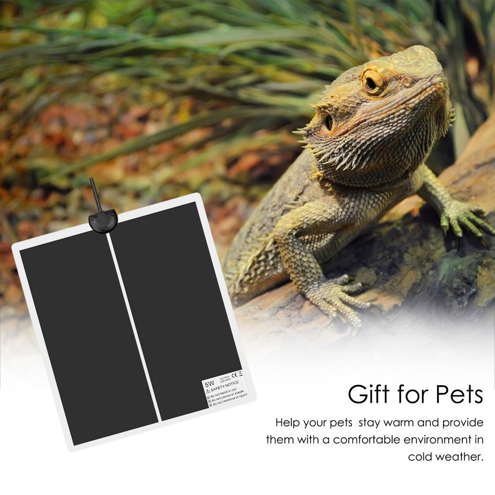 Terrarium Reptielen Warmte Mat Elektrische Kat Hond Verwarming Mat Pad Klimmen Huisdier Reptielen Verwarming Warme Pads Temperatuur Controller Mat