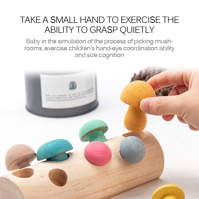 Puzzle Mushroom Picking Game Developmental Shape Matching Assembly Grasp