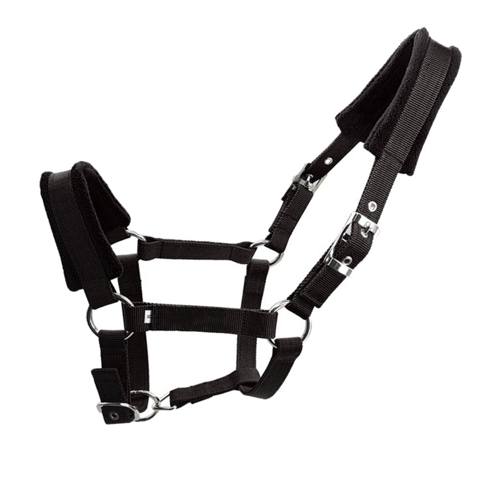 Horse Halter Fleece Padded Multiple Sizes Practical Protective Adjustable Strap Accessories Riding Equipment Double Layered: Black M
