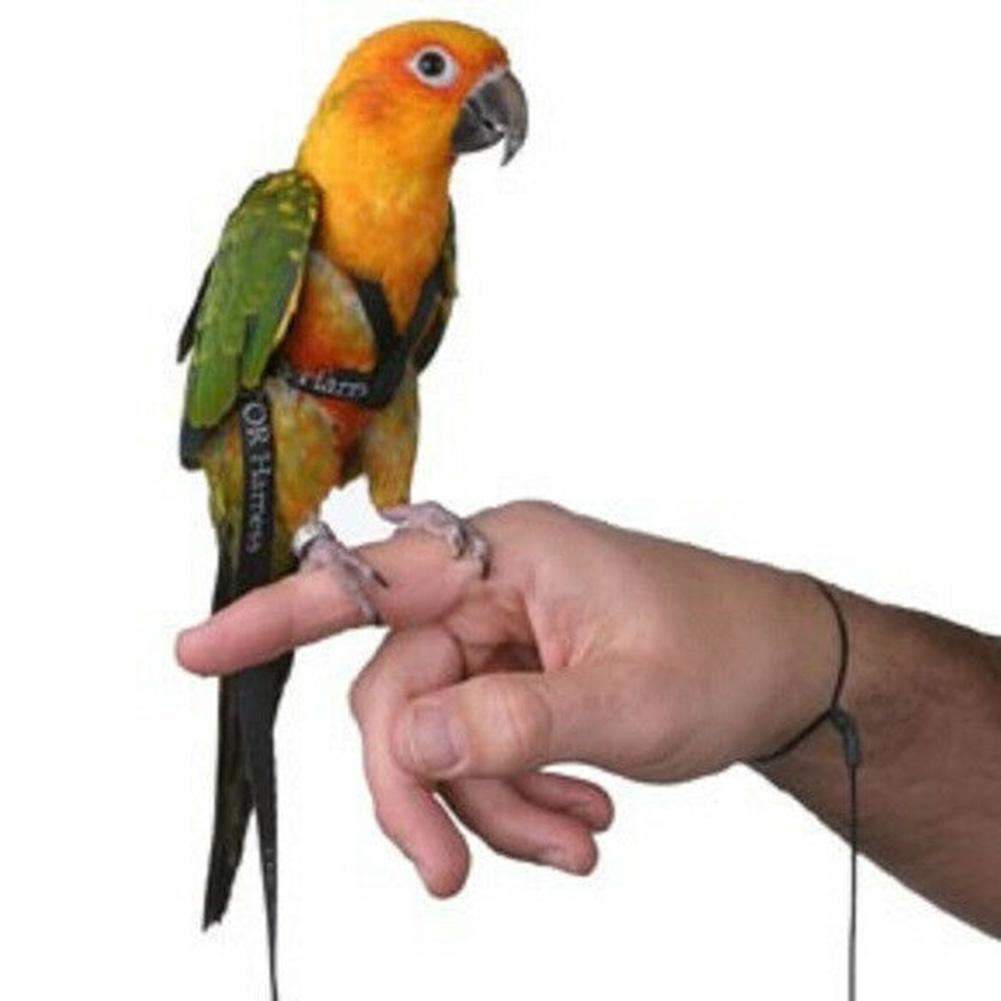 Bird Parrot Harness Leash Ultralight Anti-bite Bird Flying Traction Rope Training Leashes Outdoor Carrying For Parrots Birds