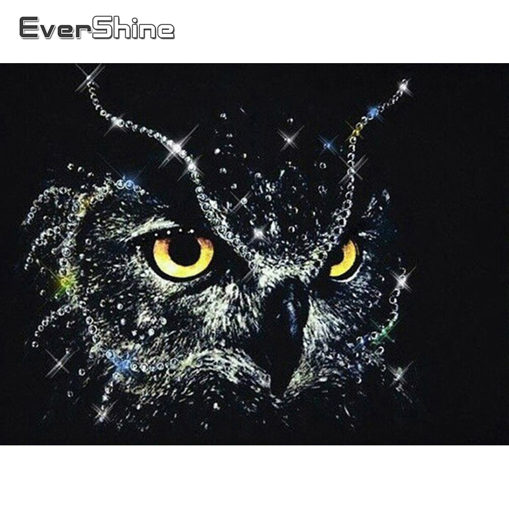 Evershine Diamant Schilderij Cartoon Uil Diamant B... – Vicedeal, image size:1000x1000