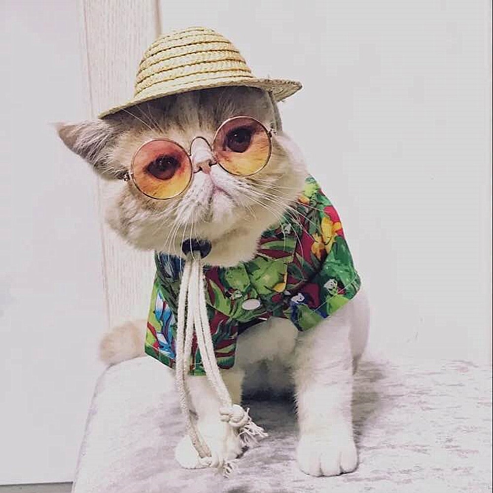 Rolig sommar sällskapsdjur katt keps solskydd hawaiiansk stil halmhatt för liten hund valp foto rekvisita trimtillbehör
