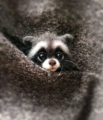 Diy Dieren Broche Vos Hond Kat Wol Naaldvilten Materiaal Pakket Wolvilt Craft Poke Set Handwerk: 13