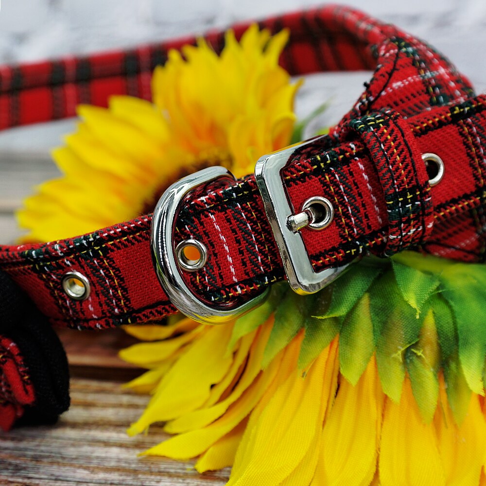 Harnais pour chiot, ensemble d'accessoires pour chiens, pour Chihuahua, pour animaux de compagnie, pour Chihuahua, gilet de marche, laisse, pour petits et moyens chiots, Pitbull