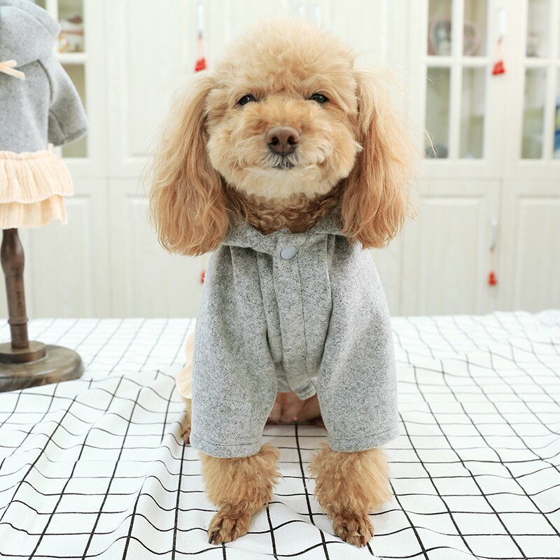 Grijze Hond Jurk Kleding Voor Hond Lente Teddy Poedel Cake Rok Voor Honden Kat Huisdier Kleding Teddy Poedel Huisdier hond Kleding