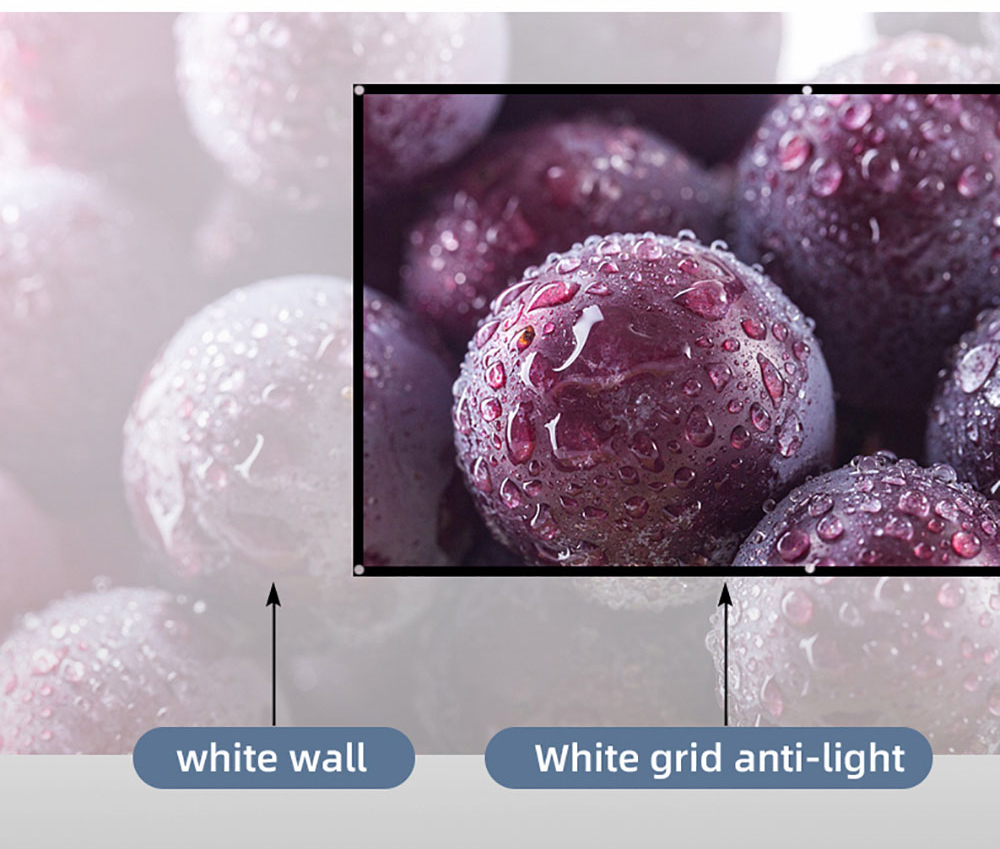 Salange Projector Screen Wit Raster Anti Licht Gordijn Hoge Helderheid 100 130 Inch 16:9 Draagbare 4K Hd Stof Doek voor Beamer