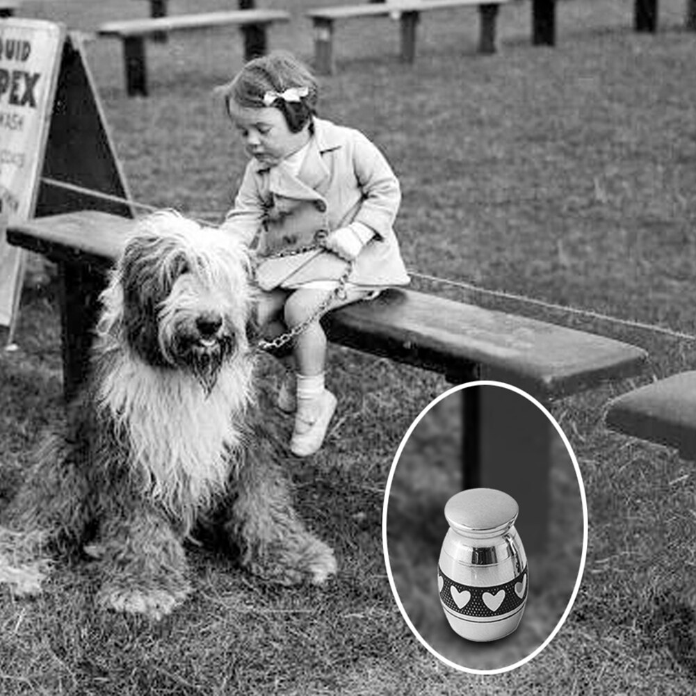 Haustier Beerdigung Sarg Haustier Gedenkstätten Heißer Mini Edelstahl Pfote Herz Urnen Hund