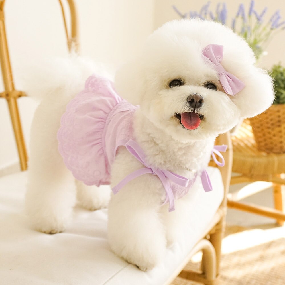 CUTE INS Lace Pet Dog Dress Summer Cotton Dog Clothes For Puppy Dogs Suspender Skirt With Hairpin Chihuahua Costume Cute Dress: Purple / L