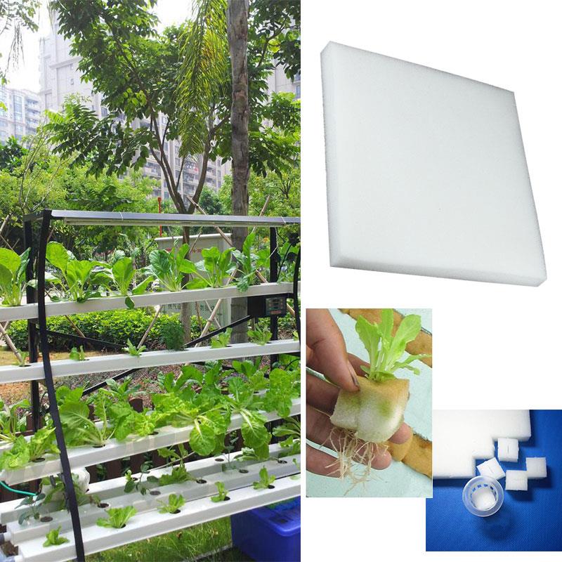 Éponge de culture pour plantation, Portable, Durable, pratique, blanche, 100 pièces, Agriculture