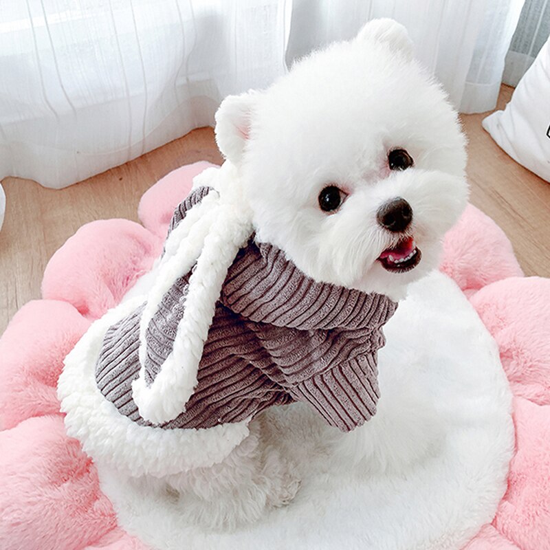 Animal de compagnie automne et hiver vêtements chauds mignon Costume lapin 2 pattes coton rembourré manteau pour chien